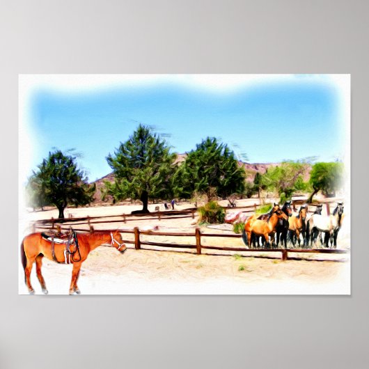 Laten we Ride zien. Poster (Voorkant)