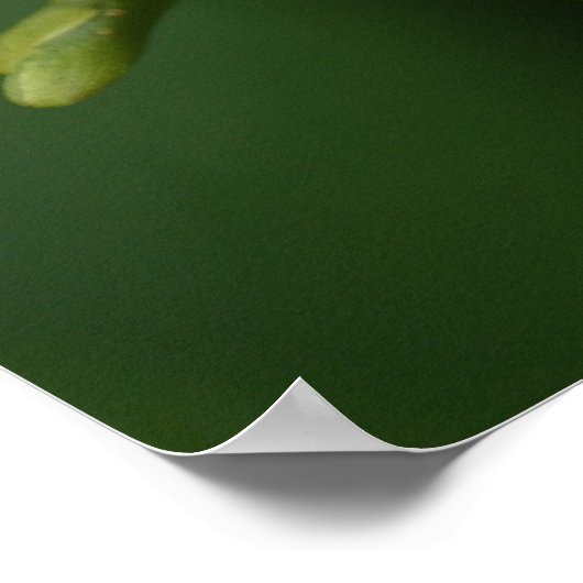 Laten we samen blijven poster (Hoek)