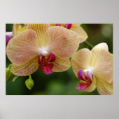 Laten we samen blijven poster (Voorkant)