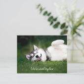 Laten we samen raar zijn / foto van Husky Briefkaart (Staand voorkant)