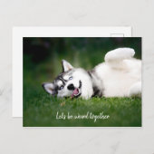 Laten we samen raar zijn / foto van Husky Briefkaart (Voorkant / Achterkant)