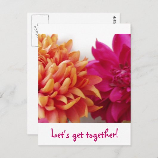 Laten we samenkomen! briefkaart (Voorkant / Achterkant)