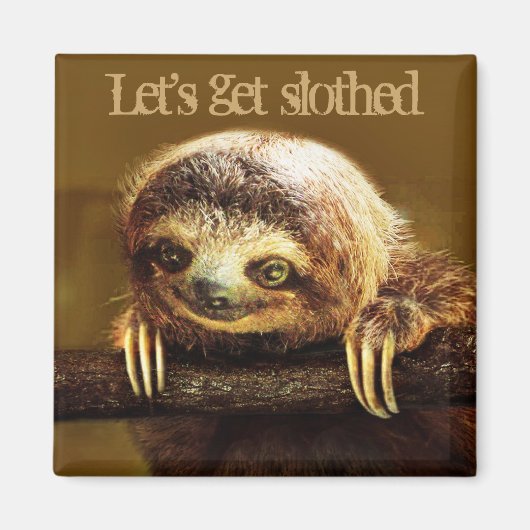 Laten we Slothed halen Magneet (Voorkant)
