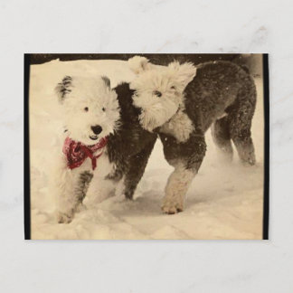 Laten we spelen! briefkaart