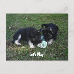 Laten we spelen! Briefkaart Shepherd Puppy