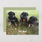 Laten we spelen! Briefkaart Shepherd Puppy (Voorkant / Achterkant)