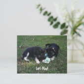 Laten we spelen! Briefkaart Shepherd Puppy (Staand voorkant)