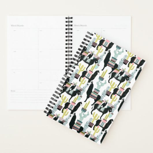 Laten we Taco Over Liefde | Llama en Donkey Patter Planner (Display)