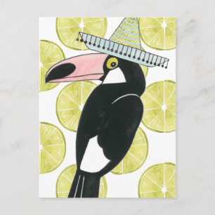 Laten we Taco Over Liefde   Toucan Sombrero Briefkaart