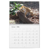 Laten we Wilde - Wilde Dierenkalender (Uitgave 1)  Kalender (Jan 2026)