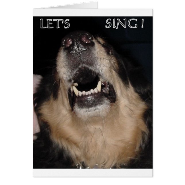 LATEN WE ZEGGEN! (Voorkant)