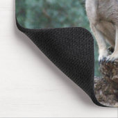 "Laten we zien wie het eerst knippert.." grappige Muismat (Hoek)