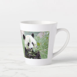 latente mok Foto reus panda , dieren . latte mok