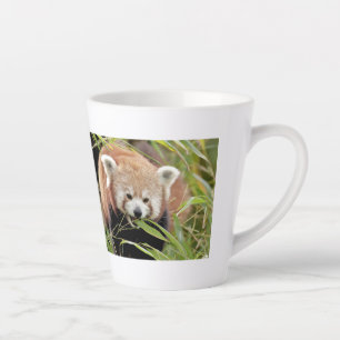 latente mok Foto: rode panda, dieren . latte mok