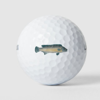 Lateral Striped Pike Cichlid Golfballen