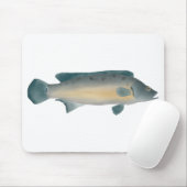 Lateral Striped Pike Cichlid Muismat (Met muis)