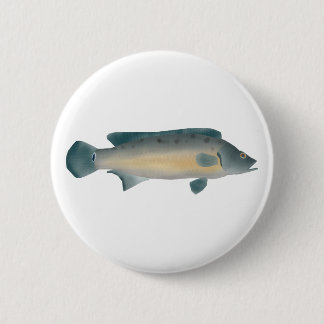 Lateral Striped Pike Cichlid Ronde Button 5,7 Cm