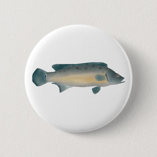 Lateral Striped Pike Cichlid Ronde Button 5,7 Cm (Voorkant)