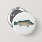 Lateral Striped Pike Cichlid Ronde Button 5,7 Cm (Voorkant /achterkant)