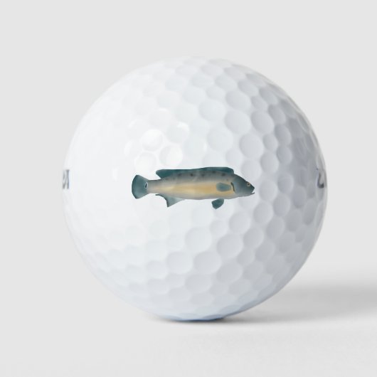 Laterale Gestreepte Snoek Cichlide Golfballen (Voorkant)