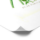 Lathyrus odoratus poster (Hoek)