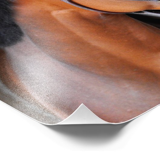 Latigo Trail Foto Afdruk (Hoek)