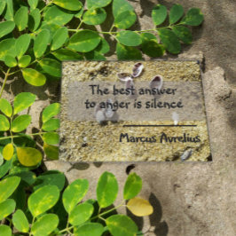 Latijns citaat stilzwijgende filosofie poster