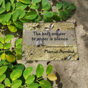 Latijns citaat stilzwijgende filosofie poster