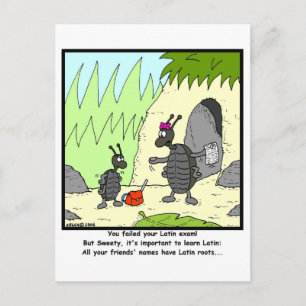 Latijns examen briefkaart