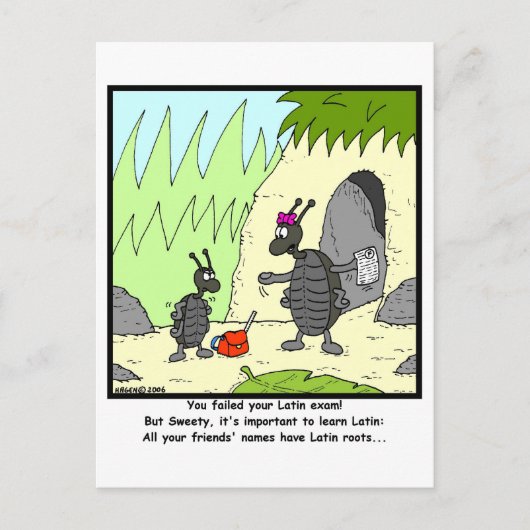 Latijns examen briefkaart (Voorkant)