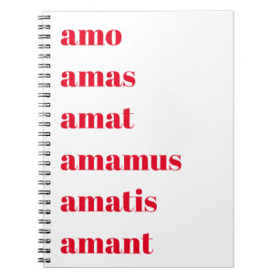 Latijns Notitieboek, Amo Amas Amat, Schooldagthema Notitieboek