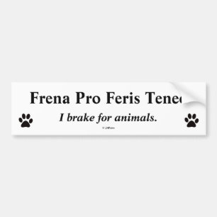 Latijnse Bumper vertaald - Frena Pro Feris Teneo Bumpersticker