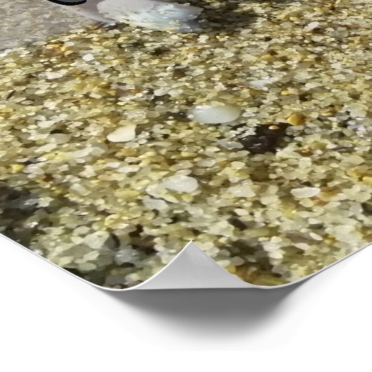 Latijnse citaat over het poster van het gezegde va (Hoek)