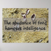 Latijnse citaat over het poster van het inlichting (Voorkant)