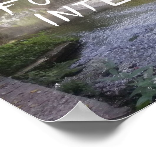 Latijnse citaat Seneca intelligence poster (Hoek)