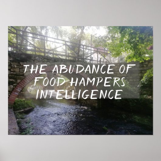 Latijnse citaat Seneca intelligence poster (Voorkant)