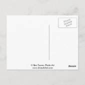 Latijnse Kus Briefkaart (Achterkant)