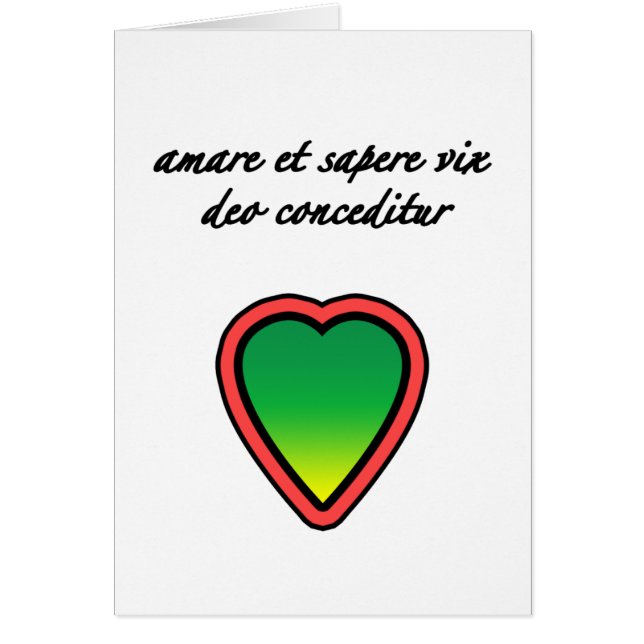 Latijnse Lover (Voorkant)