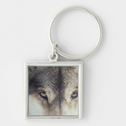 Latijnse naam: Canis Lupus Sleutelhanger (Voorkant)