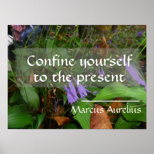 Latijnse wijsheid citeert grienery poster (Voorkant)