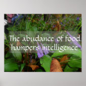 Latijnse wijsheid citeert intelligentie greenery p poster (Voorkant)