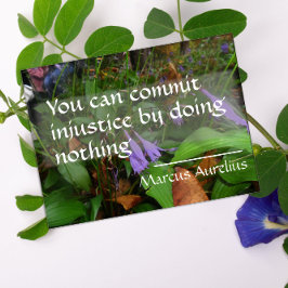 Latijnse wijsheid citeert over gerechtigheid poste poster