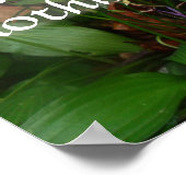 Latijnse wijsheid citeert over gerechtigheid poste poster (Hoek)