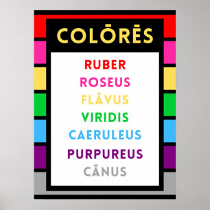 Latin Colours Poster - Latin Teacher Gift