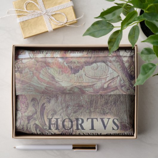 Latin ephemera tissuepapier (Geschenk)