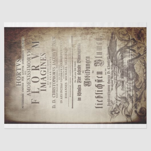 Latin scrollwork tissuepapier (Voorkant)