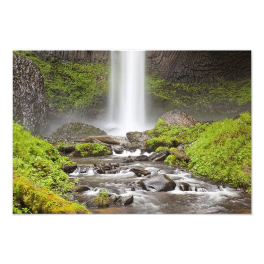 Latourell Falls, Columbia River Gorge, Oregon, Foto Afdruk (Voorkant)