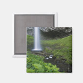 Latourell Falls, Columbia River Gorge, Oregon, Magneet (Voorkant / Achterkant)