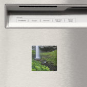Latourell Falls, Columbia River Gorge, Oregon, Magneet (Insitu (Vaatwasser))