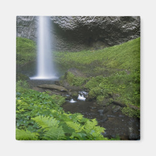 Latourell Falls, Columbia River Gorge, Oregon, Magneet